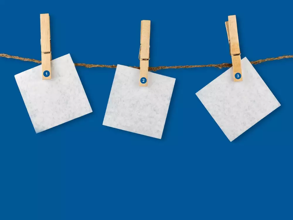 Květiny Do Kanceláře