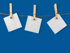 Květiny Do Kanceláře