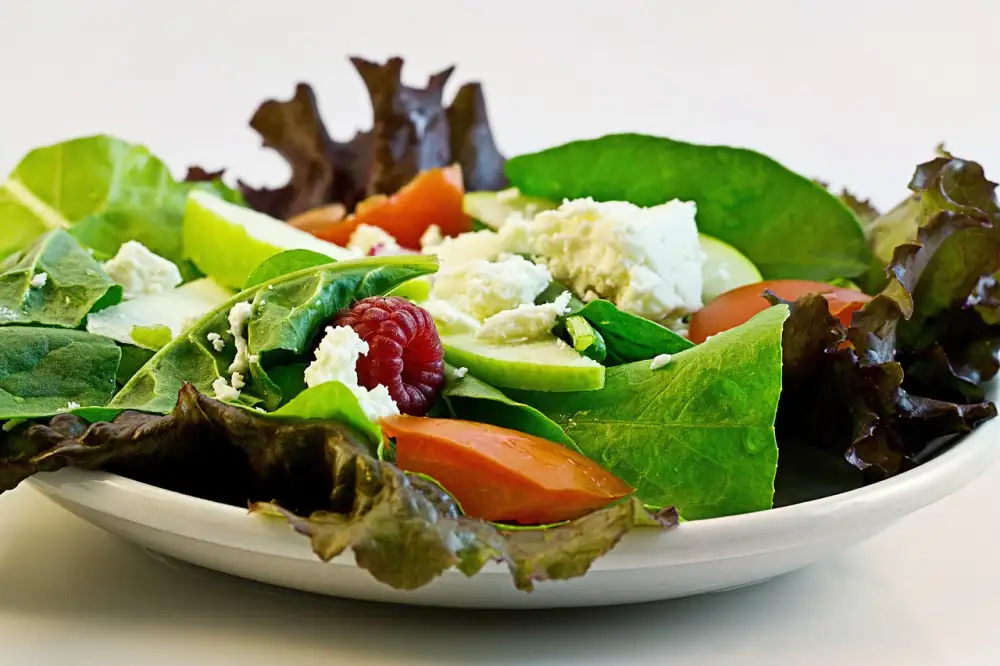 Žaludeční Dieta Šetřící Recepty