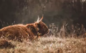 Jak Vyrobit Dekorace Do Zahrady